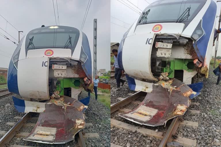 Vande Bharat train damaged after colliding with buffalo herd in Ahmedabad Gujarat  Vande Bharat train damaged  Vande Bharat train collided with buffalo herd  വന്ദേ ഭാരത് ട്രെയിനിന്‍റെ മുൻഭാഗം തകർന്നു  എരുമക്കൂട്ടവുമായി കൂട്ടിയിടിച്ച് വന്ദേ ഭാരത്  വന്ദേ ഭാരത് ട്രെയിൻ അപകടം  ഗുജറാത്ത് വന്ദേ ഭാരത് ട്രെയിൻ അപകടം  കന്നുകാലിക്കൂട്ടത്തിൽ ഇടിച്ച് വന്ദേ ഭാരത്  ഗാന്ധിനഗർ മുംബൈ വന്ദേ ഭാരത് എക്‌സ്‌പ്രസ്  Batwa Maninagar vande bharat express accident  വന്ദേ ഭാരത് എക്‌സ്‌പ്രസ് അപകടം  പോത്തിൻകൂട്ടവുമായി ഇടിച്ച് വന്ദേ ഭാരത്  പോത്തുകളുമായി കൂട്ടിമുട്ടി വന്ദേഭാരത്  train collided with buffalo herd in ahmedabad  Vande Bharat train  വന്ദേ ഭാരത് ട്രെയിനിടിച്ച് കന്നുകാലികൾ ചത്തു