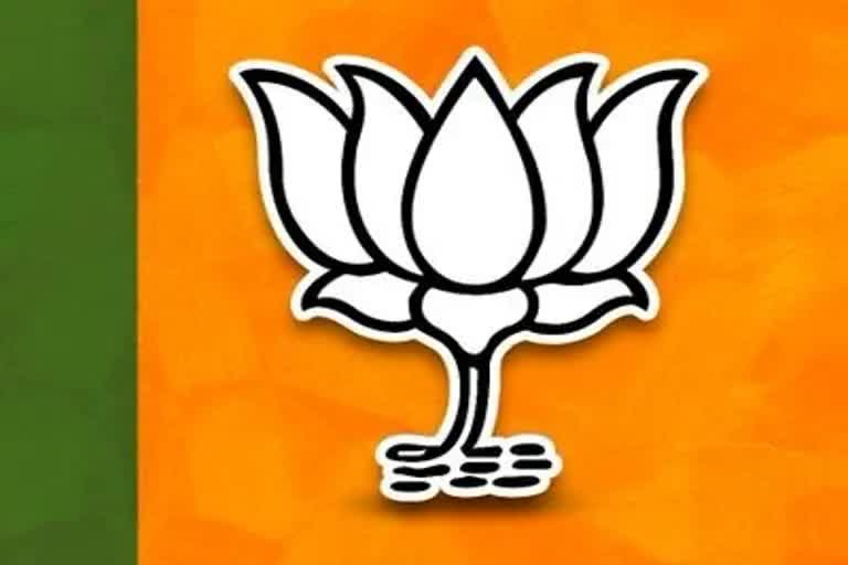 bjp-strategy-for-state-assembly-elections