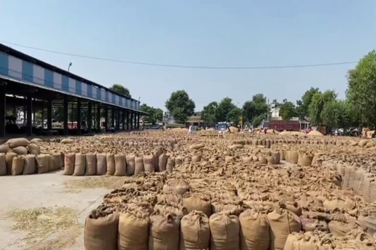 karnal grain market closed for two days