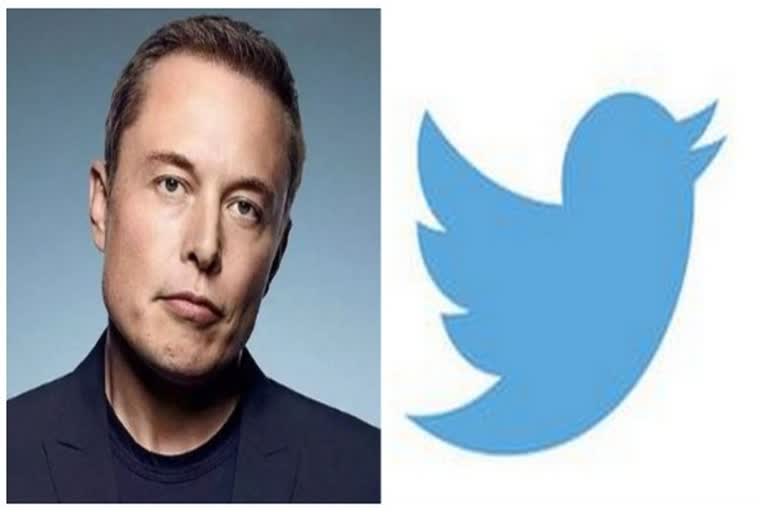 Judge grants Elon Musks request to halt Twitter trial until October 28
