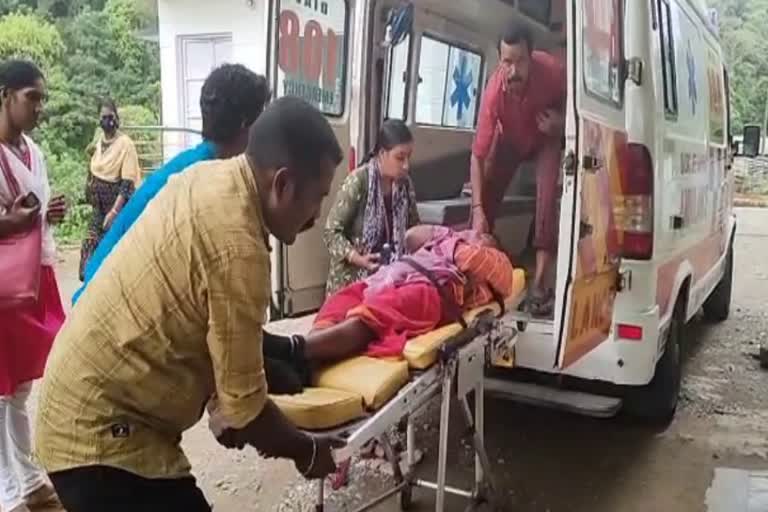 wasp attack  vandiperiyar pekkanam avt estate  pekkanam avt estate wasp attack  five workers got injured  five workers got injured in wasp attack  pekkanam avt bee attack  latest news today  latest news in idukki  എവിറ്റി കമ്പനിയുടെ ഉടമസ്ഥതയിലുള്ള  വണ്ടിപ്പെരിയാർ പേക്കാനം എസ്റ്റേറ്റിൽ  പേക്കാനം എസ്റ്റേറ്റിൽ കടന്നലിന്‍റെ ആക്രമണം  അഞ്ച് തൊഴിലാളികള്‍ക്ക് പരുക്ക്  എസ്റ്റേറ്റ് വക ഏല തോട്ടത്തിൽ  ഇടുക്കി കടന്നലാക്രമണം  ഇടുക്കി ഏറ്റവും പുതിയ വാര്‍ത്ത  ഇന്നത്തെ പ്രധാന വാര്‍ത്ത