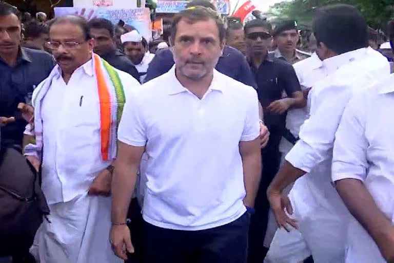 Rahul today in Bharat Jodo Yatra