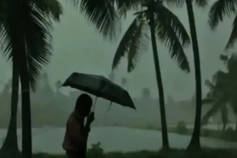 weather update kerala  kerala latest news  malayalam news  rain news  മഴ മുന്നറിയിപ്പ്  സംസ്ഥാനത്ത് ഒറ്റപ്പെട്ടയിടങ്ങളിൽ മഴയ്‌ക്ക് സാധ്യത  മഴ  മഴയ്‌ക്ക് സാധ്യത  കാലാവസ്ഥ വകുപ്പ്  ജാഗ്രത  കേരള വാർത്തകൾ  മലയാളം വാർത്തകൾ  Department of Meteorology  Chance of rain