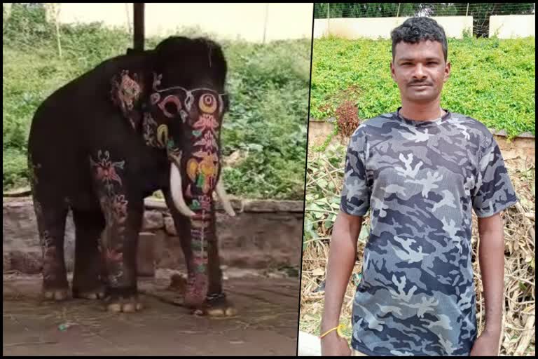 Mahendra elephant participated Dasara procession