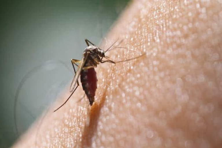 south-dumdum-residents-16-year-old-boy-died-by-dengue-in-rg-kar-hospital