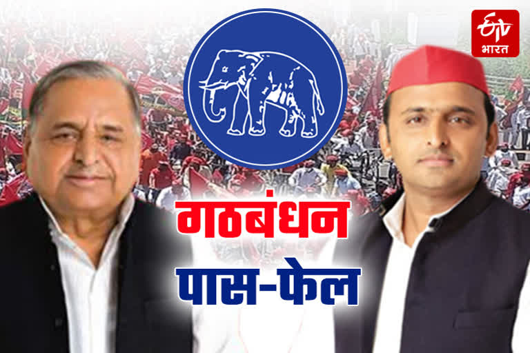 SP BSP Alliance in UP Mulayam Akhilesh