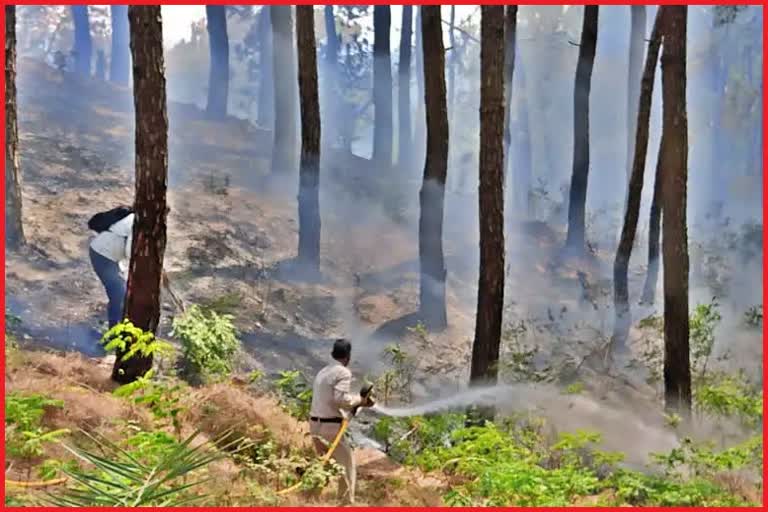 Forest fire awareness program in Rampur