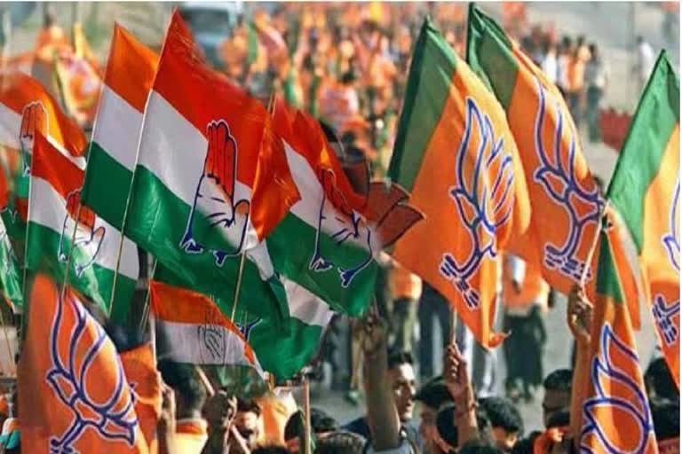 political parties focusing on castes