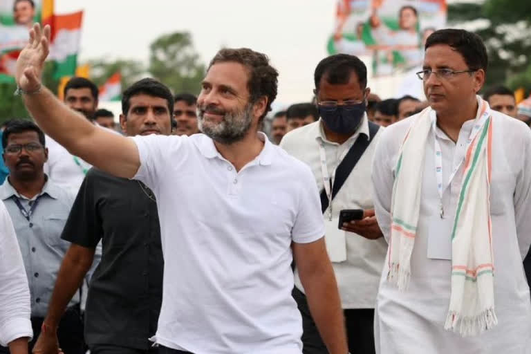 no-intention-to-make-hindi-alone-as-national-language-says-congress-mp-rahul-gandhi