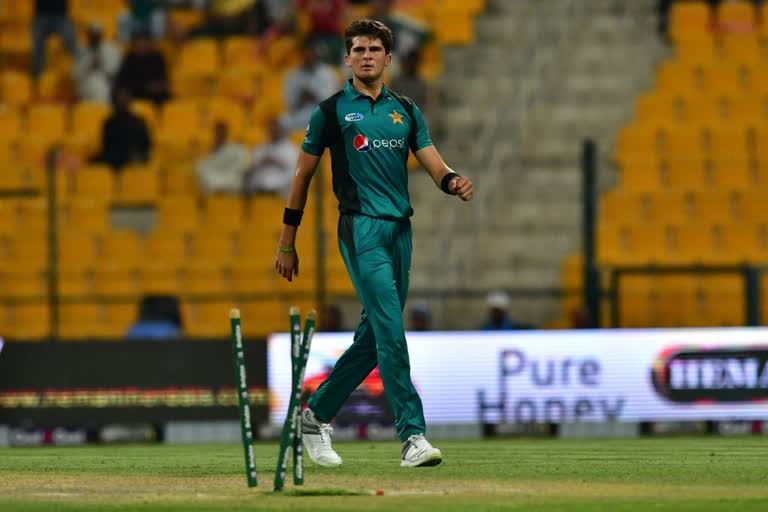 Shaheen Afridi feels he will be ready for T20 WC match against India: Ramiz Raja