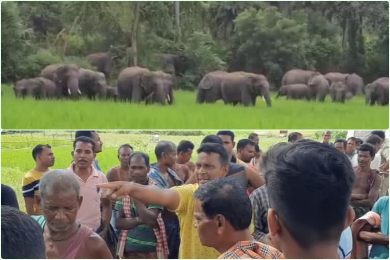 ବନକର୍ମଚାରୀଙ୍କୁ ଅଟକ ରଖିଲେ ଗ୍ରାମବାସୀ