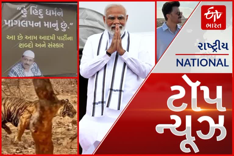 TOP NEWS: આપ પ્રદેશ પ્રમુખ ગોપાલ ઇટાલિયાએ વડોદરા શહેર ભાજપ પ્રમુખને આડેહાથ લીધા, માનવભક્ષી વાઘનો આખરે ઠાર, ગામવાસીઓમાં હાશકારો સહિતના મહત્વપૂર્ણ સમાચાર વાંચો માત્ર એક ક્લિકમાં...