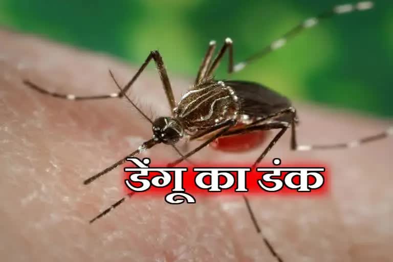 पटना में डेंगू