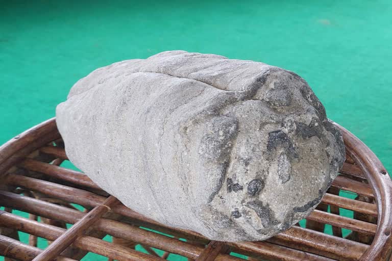 Fossilized of Glass Sponge at Saharanpur