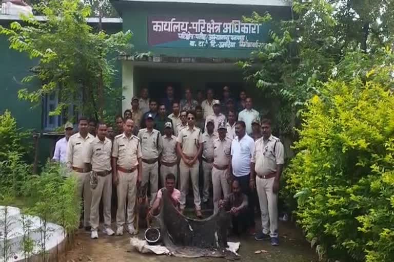 2 accused including chital skin and meat arrested