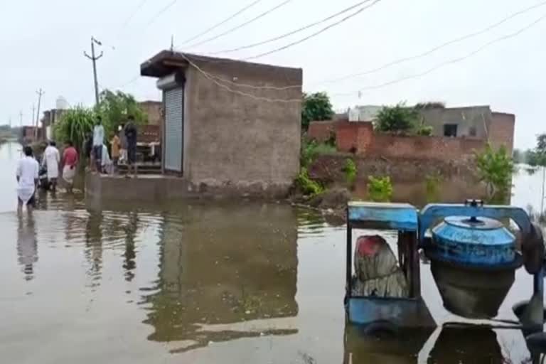 Heavy Rain in Haryana