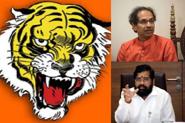 Sena symbol row