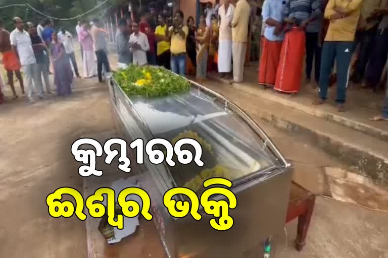 କୁମ୍ଭୀରର ଆଧ୍ୟାତ୍ମିକଭାବ: ଭଗବାନଙ୍କୁ କରେ ଦର୍ଶନ, ସ୍ପର୍ଶ କରେନି ମାଛ