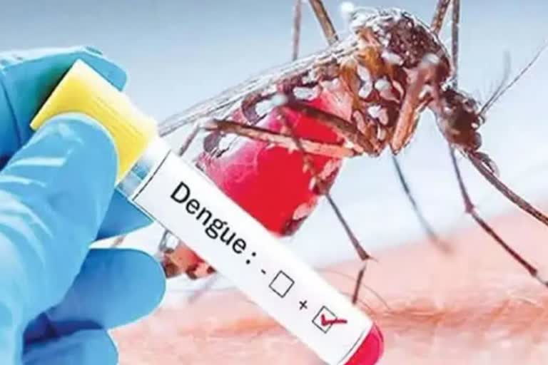 dengue-cases-mount-to-2430-in-jammu-region