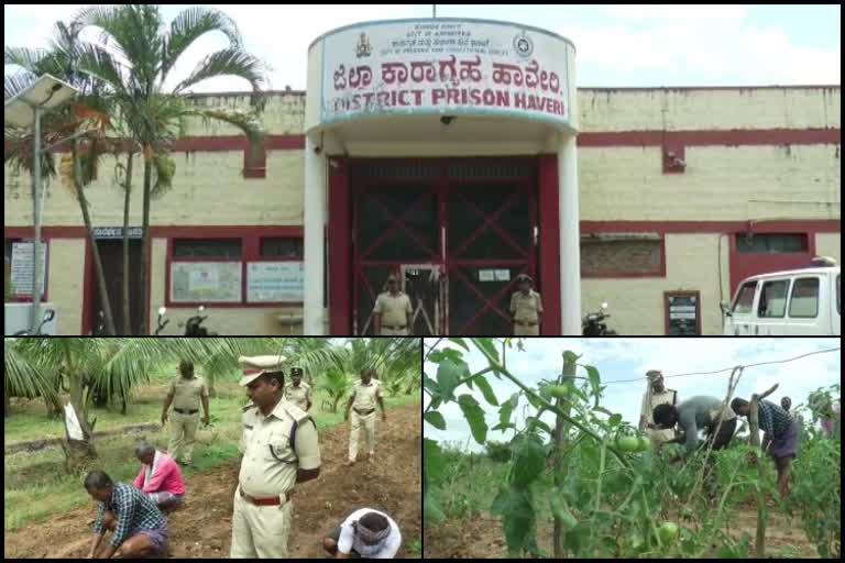 Special activities in Haveri District Jail