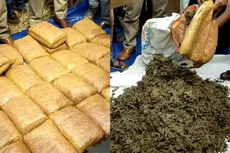 hundred kg of ganja seized  ganja seized case in kottayam  huge racket behind the incident  more than hundred kg of ganja seized case  racket behind the ganja seized case in kottayam  ganja case in kottayam  latest news in kotatyam  latest news today  നൂറുകിലോയിലധികം കഞ്ചാവ് പിടികൂടിയ സംഭവം  പിന്നില്‍ വന്‍ റാക്കറ്റെന്ന് സൂചന  തലയോലപ്പറമ്പിൽ വച്ച് കാറിൽ കഞ്ചാവ് കടത്തി  അന്വേഷണം ഊര്‍ജിതമാക്കി പൊലീസ്  നർക്കോട്ടിക് വിഭാഗവും  വൈക്കം തലയോലപ്പറമ്പ് പൊലീസും  ആന്ധ്രപ്രദേശിൽ നിന്നും കഞ്ചാവ് വാങ്ങി  കോട്ടയം ഏറ്റവും പുതിയ വാര്‍ത്ത  ഇന്നത്തെ പ്രധാന വാര്‍ത്ത