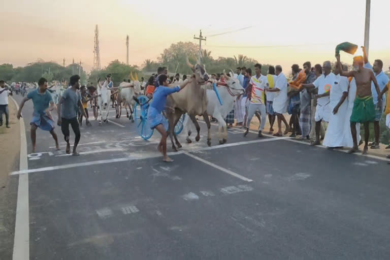 விளாத்திகுளம் அருகே நடைபெற்ற மாட்டு வண்டி போட்டி - சீறிப்பாய்ந்த காளைகள்!