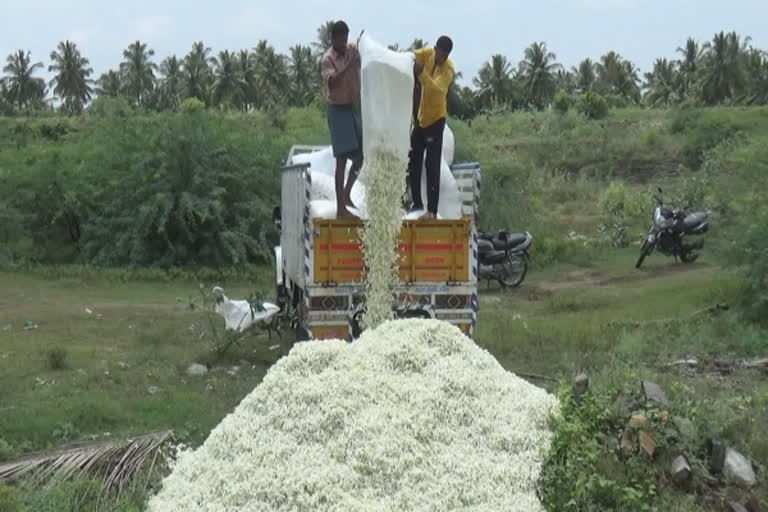 பெரியகுளத்தில் ரூ.3 லட்சம் மதிப்பிலான சம்பங்கி பூக்கள் அழிப்பு!