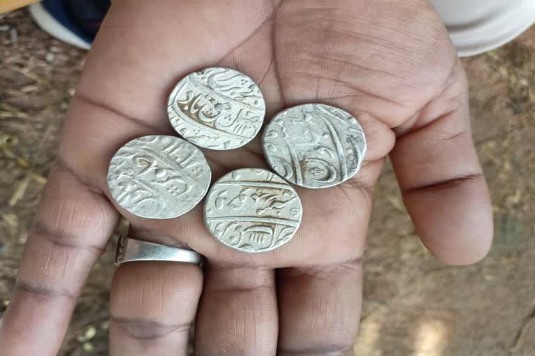 shivpuri farmer found silver coins