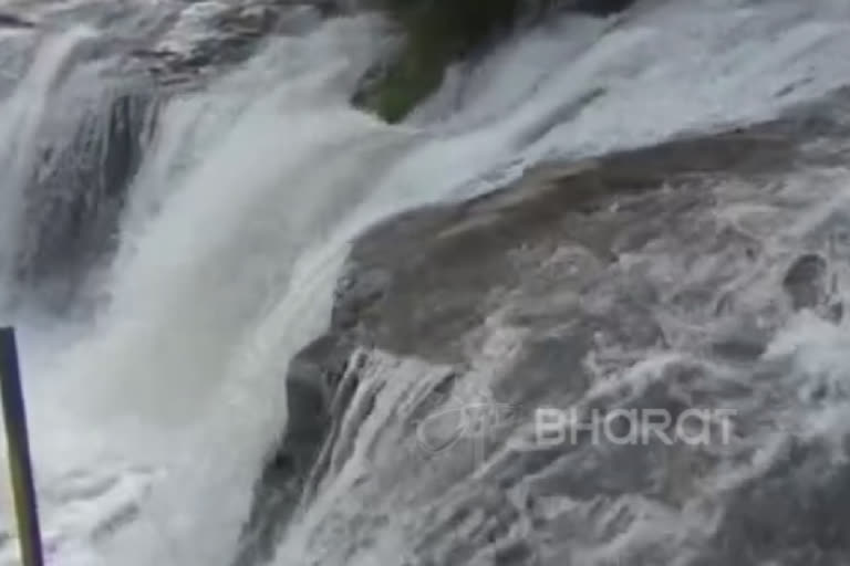 மேற்கு தொடர்ச்சி மலையில் கனமழை ; கும்பக்கரை அருவியில் குளிக்கத் தடை