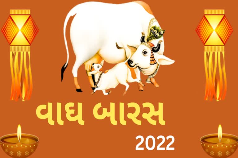 જાણો કેવી રીતે ઉજવવામાં આવે છે વાઘ બારસ અને શું છે તેનું મહત્વ