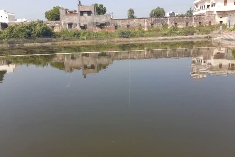 fish farmers are rearing banned fish in panipat