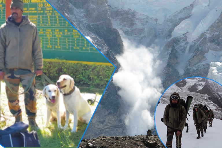 Uttarkashi Avalanche