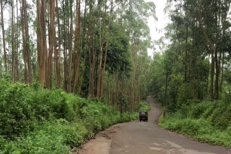 മൂന്നാറിൽ കടുവയുടെയും പുലിയുടെയും സാന്നിധ്യം  കടുവയുടെയും പുലിയുടെയും സാന്നിധ്യം  കടുവ പുലി സാന്നിധ്യം  കടുവ സാന്നിധ്യം ഇടുക്കി  പുലി സാന്നിധ്യം ഇടുക്കി  കന്നിമല സ്‌കൂള്‍ പരിസരത്ത് കടുവ  ചെങ്കുളം റിസര്‍വ് വനം  ചെങ്കുളം റിസര്‍വ് വനം വിജ്ഞാപനം  കന്നിമല ഇടുക്കി  കന്നിമല മൂന്നാർ  കടുവയുടെ ആക്രമണം  കടുവയുടെ ആക്രമണത്തിൽ പശുവിന് പരിക്ക്  കേരളത്തിലെ കടുവ ആക്രമണങ്ങൾ  tiger and Leopard presence in idukki chenkulam  tiger and Leopard presence  tiger attack  leopard attack  tiger and leopard idukki  chenkulam idukki