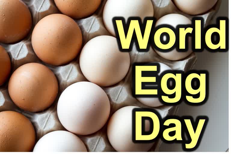 World egg day News