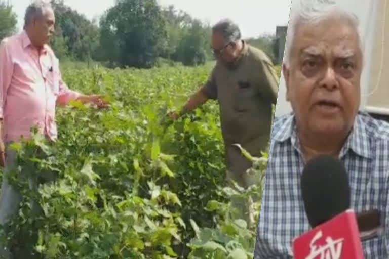 Amaravati Farmers