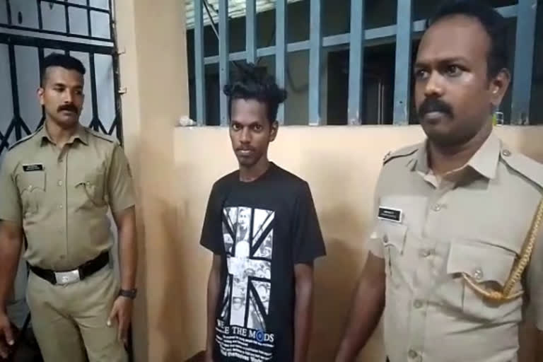 Etv BharatPathanamthitta  young man arrested raped minor girl  Pathanathitta Pocso Case  Pocso Case  പ്രണയം നടിച്ച് പീഡിപ്പിച്ച് ഗര്‍ഭിണിയാക്കി  മല്ലപ്പള്ളി ആനിക്കാട്  കീഴ്‌വായ്‌പൂര്‍ പൊലീസ്  പത്തനംതിട്ട പോക്‌സോ കേസ്