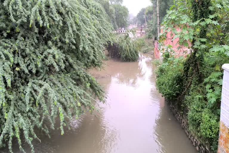 green field under pass faridabad