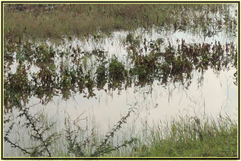 Average Rainfall in Nanded