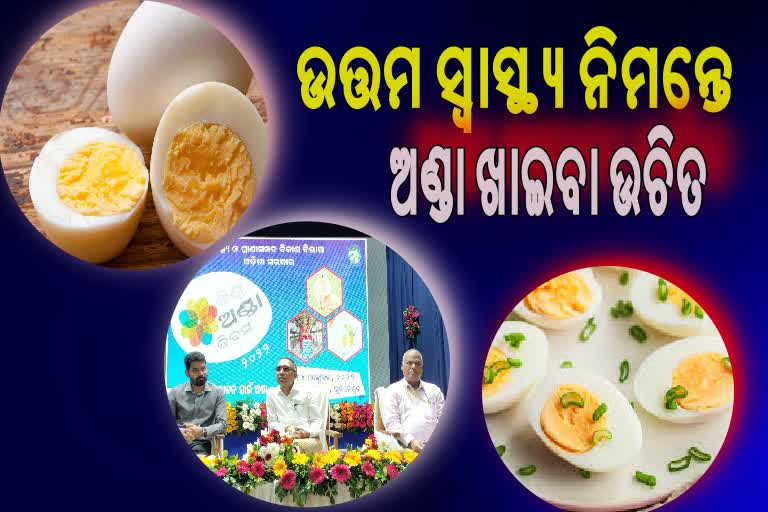 ଅଣ୍ଡାର ବ୍ୟବହାର ଓ ଉତ୍ପାଦନ ବୃଦ୍ଧି ଉପରେ ଗୁରୁତ୍ୱ