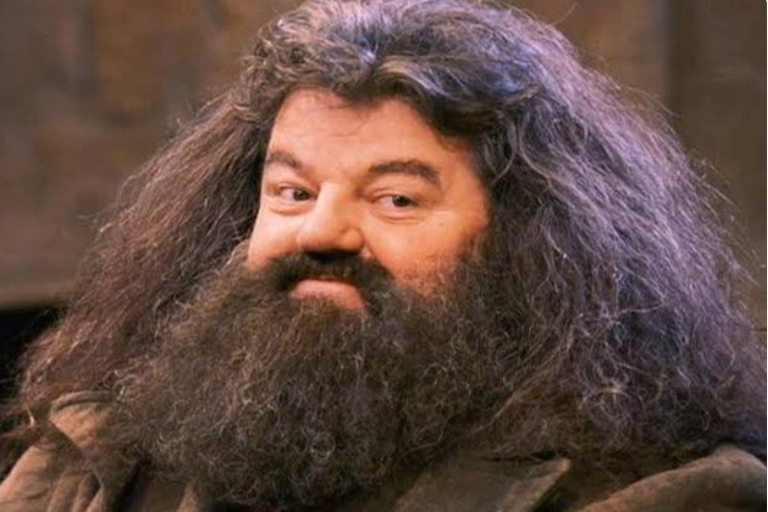 Harry Potter actor Robbie Coltrane passes away  ഹാരി പോട്ടർ താരം റോബീ കോൾട്രാൻ അന്തരിച്ചു  ഹാരി പോട്ടർ  റോബീ കോൾട്രാൻ