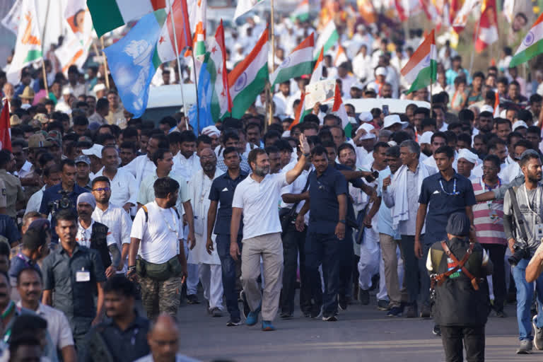 Bharat Jodo Yatra  Bharat Jodo Yatra 1000 km distance  Jodo Yatra cross 1000 km  Rahul Gandhi  AICC  Congress  Indian National Congress  ഭാരത് ജോഡോ യാത്ര  ബെല്ലാരി  രാഹുല്‍ഗാന്ധി  കോണ്‍ഗ്രസ്