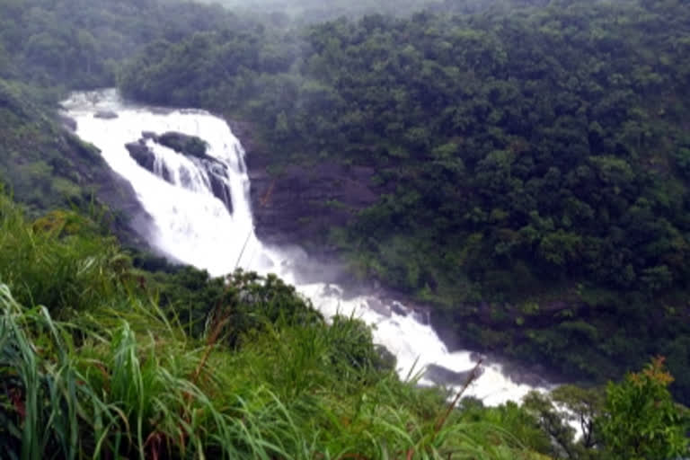 Stranded due to heavy rains, 40 tourists rescued near Dudhsagar waterfall