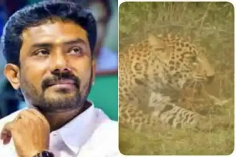 Leopard death case: Forest Dept writes to LS Speaker seeking permission to investigate Theni MP