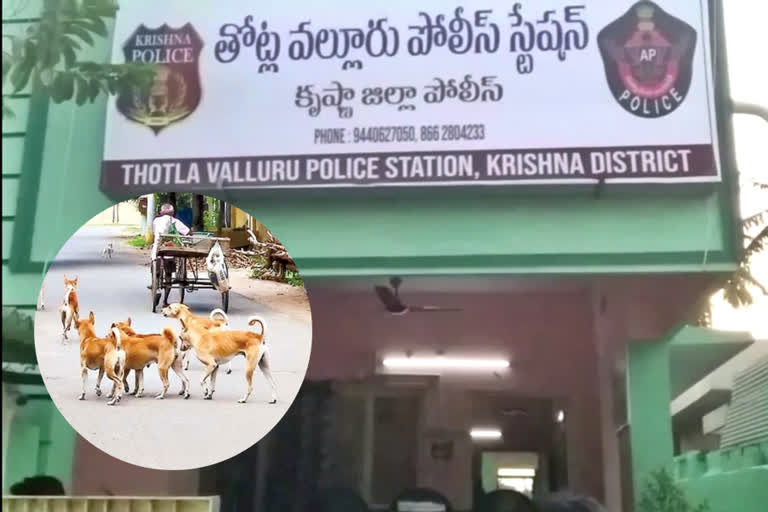 CI and SI arrested for tampering with murder case  CI and SI arrested  corrupt police officers  manipulation of a murder case  Stray dogs solve a murder case  CI and SI arrested in Andhra Pradesh  ಪ್ರಕರಣ ಬೇಧಿಸಿದ ಬೀದಿ ನಾಯಿಗಳು  ಭ್ರಷ್ಟ ಪೊಲೀಸ್ ಅಧಿಕಾರಿಗಳನ್ನು ಸೆರೆ  ಬೀದಿ ನಾಯಿಗಳು ಪೊಲೀಸ್​ ಇಲಾಖೆಗೆ ಸಹಾಯ  ಸಾಫ್ಟ್​ವೇರ್​ ಉದ್ಯೋಗಿ ಕೊಲೆ ಪ್ರಕರಣ  ಉದ್ಯೋಗಿ ಗಾಡಿಕೊಯ್ಯ ಶ್ರೀನಿವಾಸ ರೆಡ್ಡಿ ಕೊಲೆ  ವಿವಾಹೇತರ ಸಂಬಂಧವೇ ಕೊಲೆಗೆ ಕಾರಣ