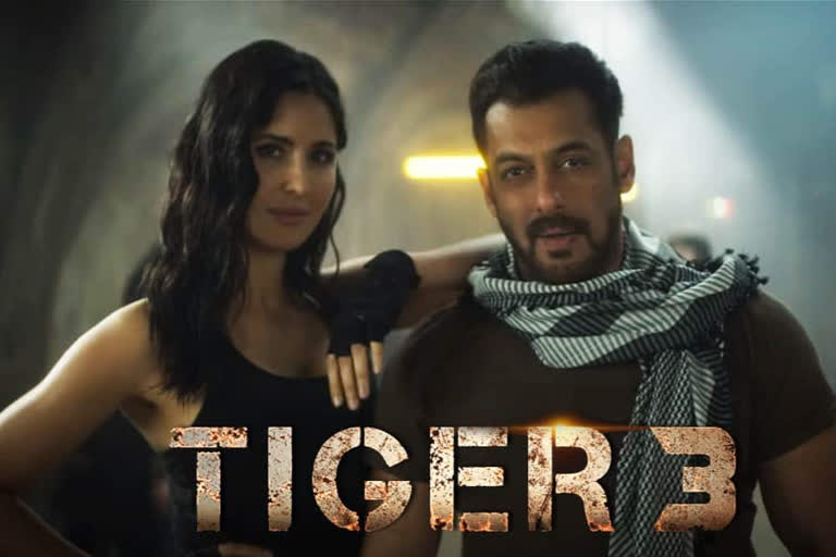 Tiger 3 gets postponed, Tiger 3 release date, salman katrina tiger 3