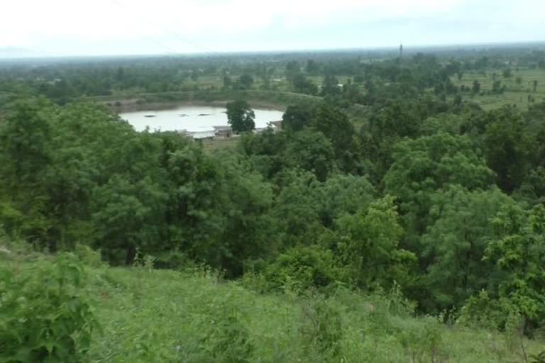 development of forest tourism in subarnapur