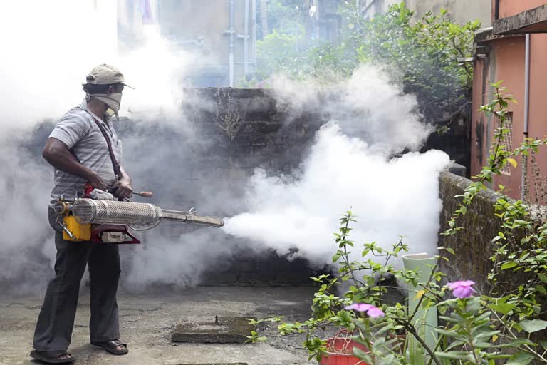 Dengue Death in Siliguri