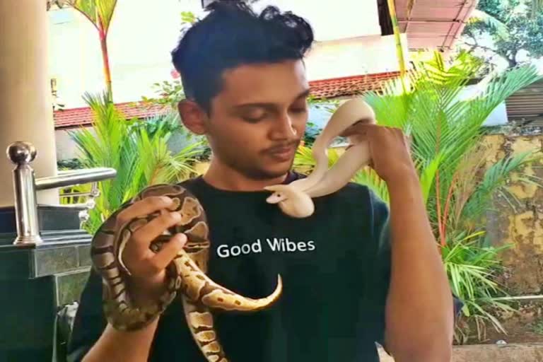 this-youth-lives-with-african-pythons