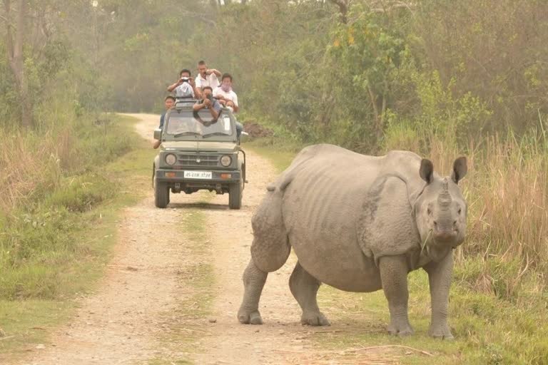 Kaziranga National Park