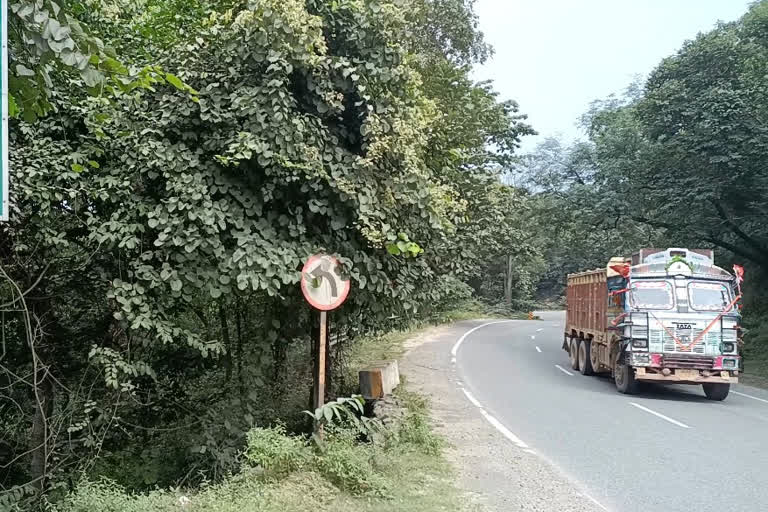 sharp turns of koderma valley